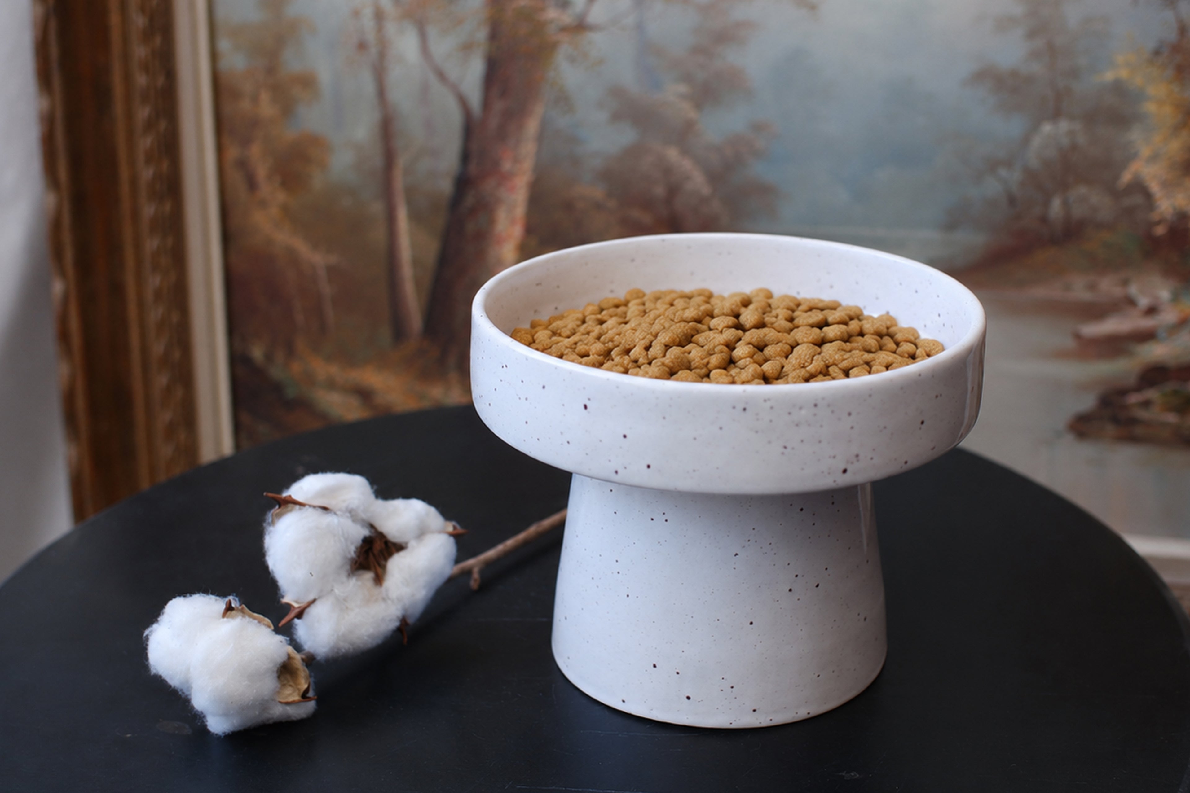 Gamelle surélevée pour chat
